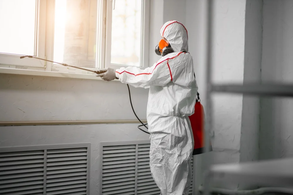 Professional mold remediation services in Algonquin, IL